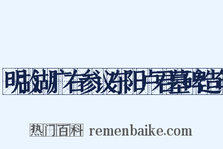 明故湖广右参议东阳卢君墓碑造句是什么意思的图片